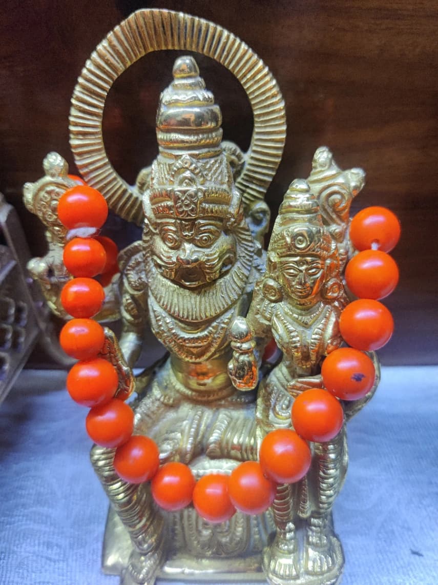 Sri Sri Lakshmi Prehlad Narsimha Dev Ji 