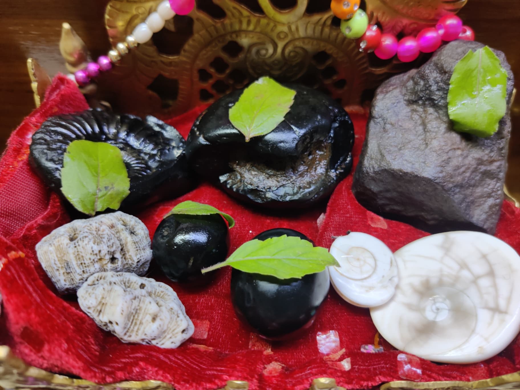 Sr Shaligram Ji And Giriraj Ji 