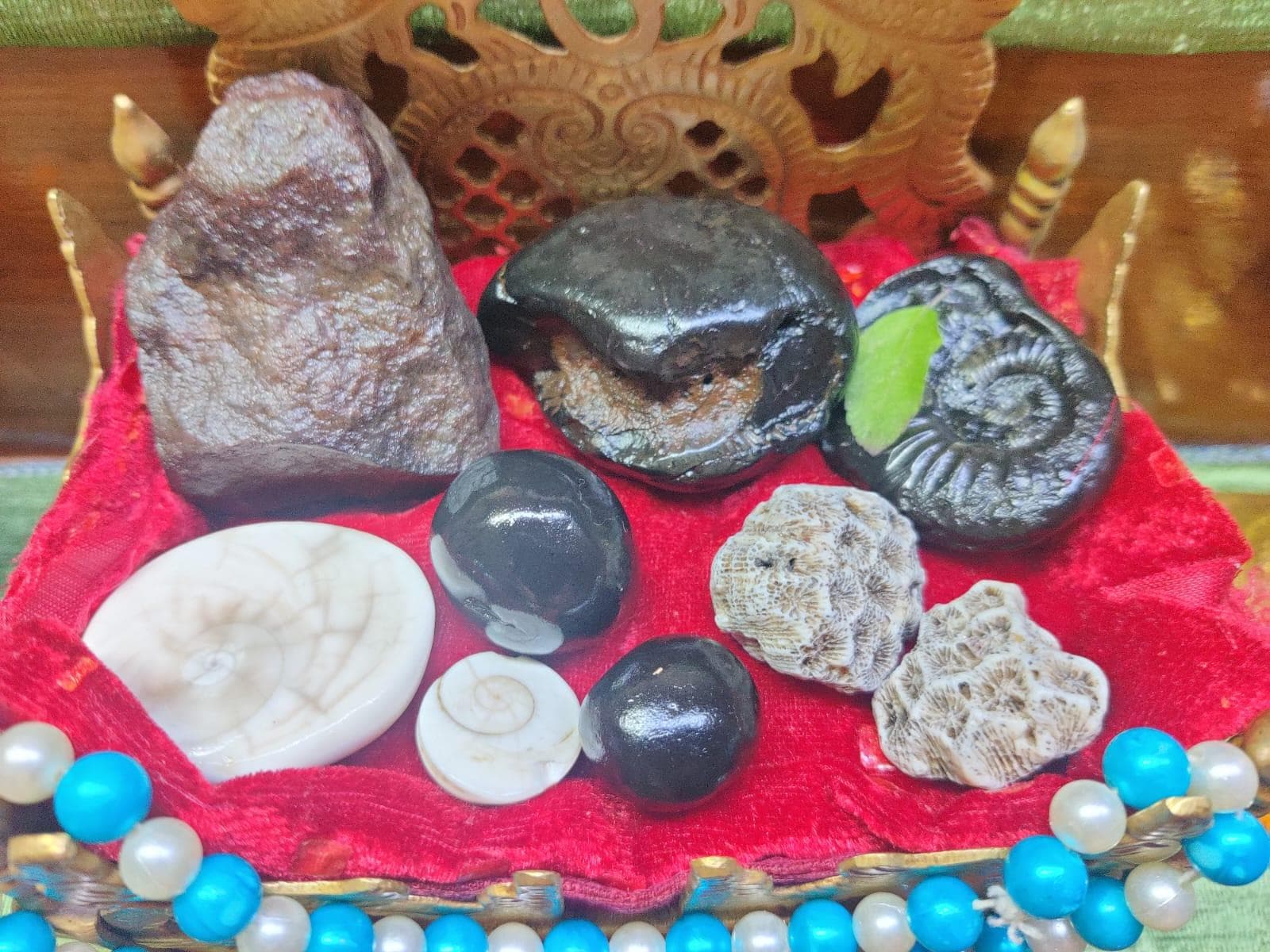 Sri Shaligram Ji 