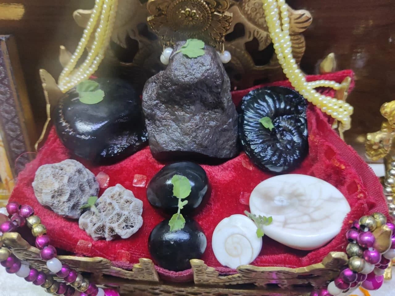 Sri-Shaligram-ji