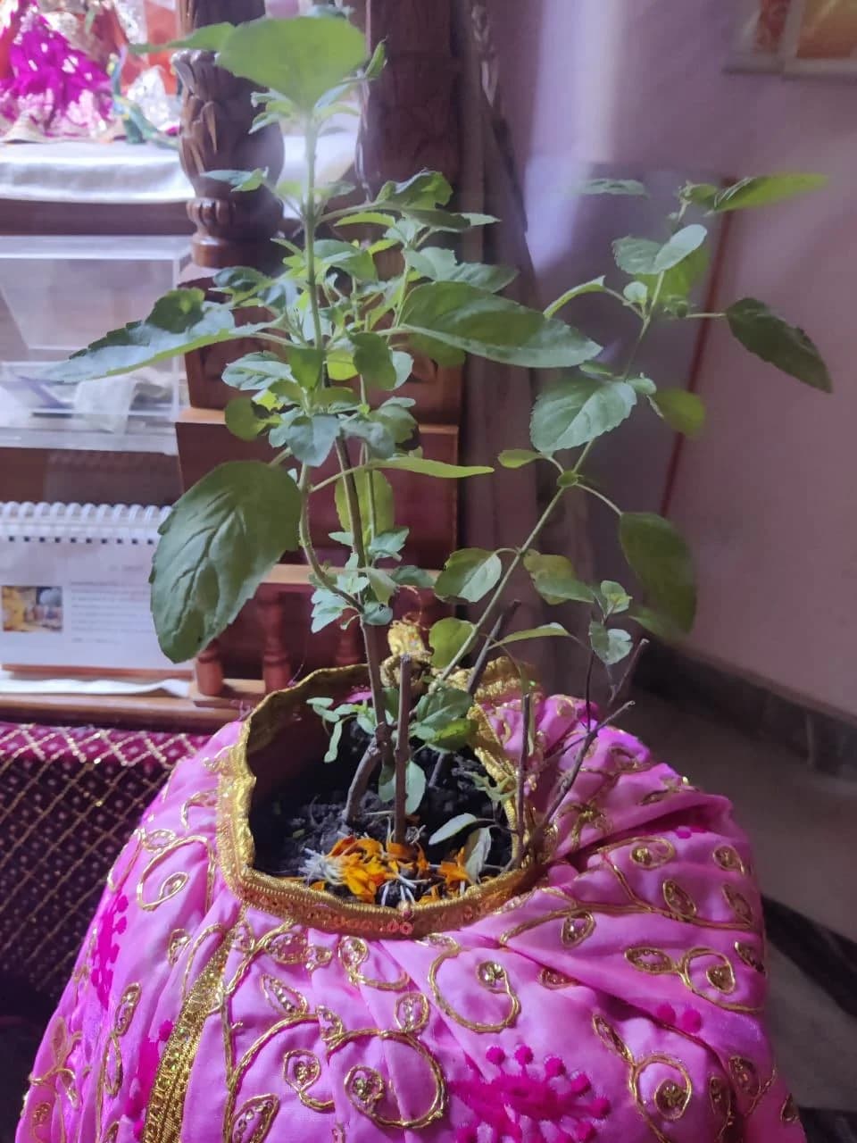 Sri-Tulsi-Maharani-